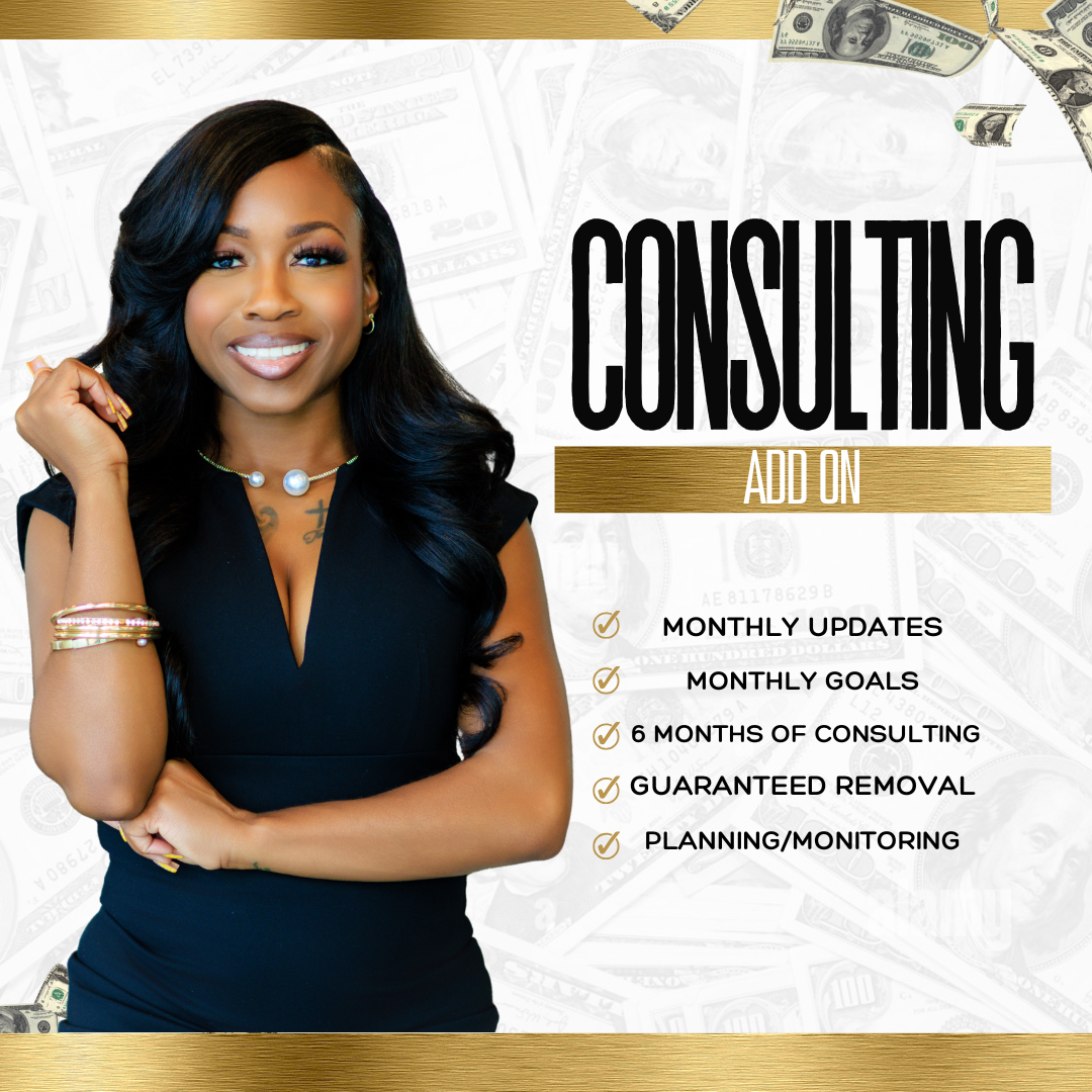 Consulting Add On
