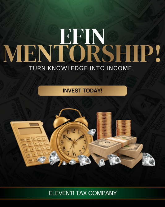 EFIN Mentorship